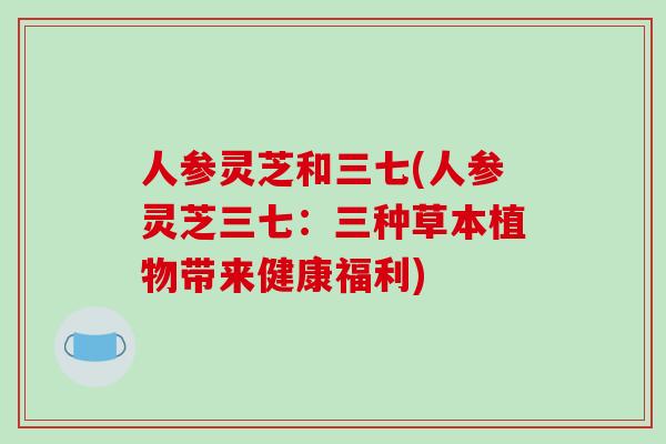 人参灵芝和三七(人参灵芝三七:三种草本植物带来健康福利)-第1张图片-破壁灵芝孢子粉研究指南 人参灵芝和三七(人参灵芝三七:三种草本植物带来健康福利)-第1张图片-破壁灵芝孢子粉研究指南