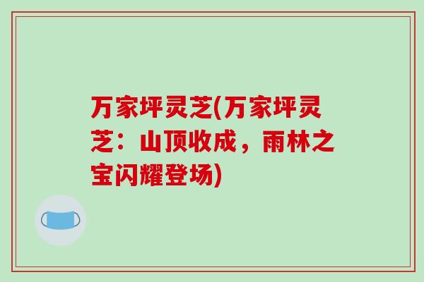 万家坪灵芝(万家坪灵芝:山顶收成,雨林之宝闪耀登场)-第1张图片-破壁灵芝孢子粉研究指南 万家坪灵芝(万家坪灵芝:山顶收成,雨林之宝闪耀登场)-第1张图片-破壁灵芝孢子粉研究指南