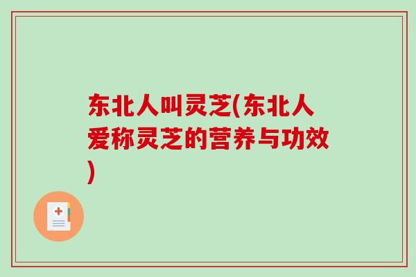 东北人叫灵芝(东北人爱称灵芝的营养与功效)-第1张图片-破壁灵芝孢子粉研究指南 东北人叫灵芝(东北人爱称灵芝的营养与功效)-第1张图片-破壁灵芝孢子粉研究指南