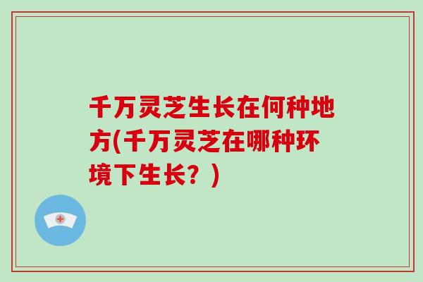 千万灵芝生长在何种地方(千万灵芝在哪种环境下生长?)-第1张图片-破壁灵芝孢子粉研究指南 千万灵芝生长在何种地方(千万灵芝在哪种环境下生长?)-第1张图片-破壁灵芝孢子粉研究指南