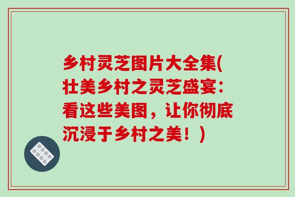 乡村灵芝图片大全集(壮美乡村之灵芝盛宴:看这些美图,让你彻底沉浸于乡村之美!)-第1张图片-破壁灵芝孢子粉研究指南 乡村灵芝图片大全集(壮美乡村之灵芝盛宴:看这些美图,让你彻底沉浸于乡村之美!)-第1张图片-破壁灵芝孢子粉研究指南