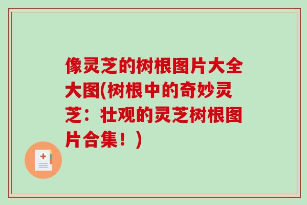 像灵芝的树根图片大全大图(树根中的奇妙灵芝:壮观的灵芝树根图片合集!)-第1张图片-破壁灵芝孢子粉研究指南 像灵芝的树根图片大全大图(树根中的奇妙灵芝:壮观的灵芝树根图片合集!)-第1张图片-破壁灵芝孢子粉研究指南