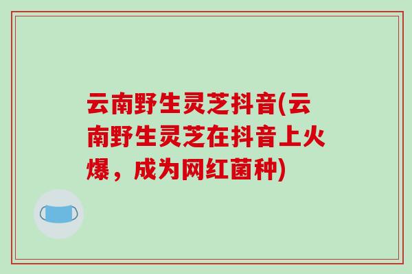 云南野生灵芝抖音(云南野生灵芝在抖音上火爆,成为网红菌种)-第1张图片-破壁灵芝孢子粉研究指南 云南野生灵芝抖音(云南野生灵芝在抖音上火爆,成为网红菌种)-第1张图片-破壁灵芝孢子粉研究指南