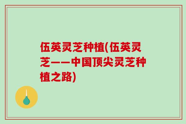 伍英灵芝种植(伍英灵芝——中国顶尖灵芝种植之路)-第1张图片-破壁灵芝孢子粉研究指南