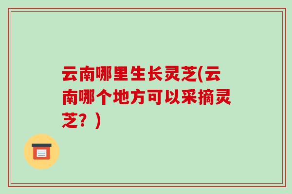 云南哪里生长灵芝(云南哪个地方可以采摘灵芝？)-第1张图片-破壁灵芝孢子粉研究指南