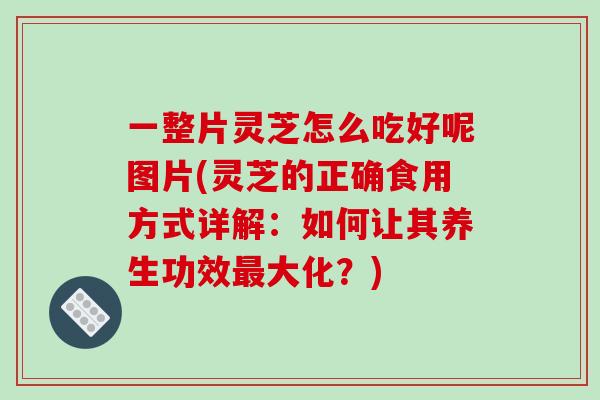 一整片灵芝怎么吃好呢图片(灵芝的正确食用方式详解：如何让其养生功效最大化？)-第1张图片-破壁灵芝孢子粉研究指南
