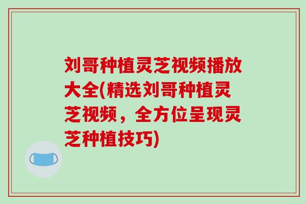 刘哥种植灵芝视频播放大全(精选刘哥种植灵芝视频，全方位呈现灵芝种植技巧)-第1张图片-破壁灵芝孢子粉研究指南