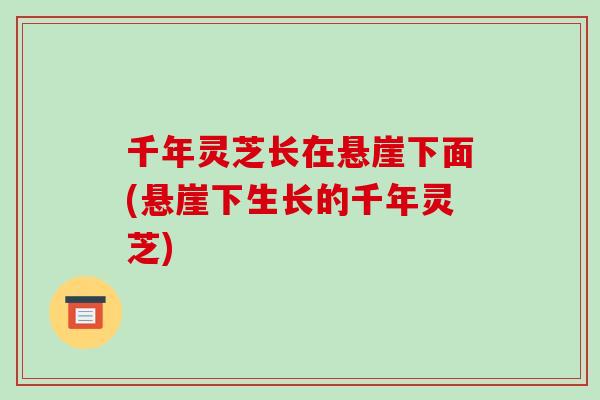 千年灵芝长在悬崖下面(悬崖下生长的千年灵芝)-第1张图片-破壁灵芝孢子粉研究指南 千年灵芝长在悬崖下面(悬崖下生长的千年灵芝)-第1张图片-破壁灵芝孢子粉研究指南