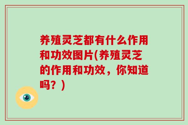 养殖灵芝都有什么作用和功效图片(养殖灵芝的作用和功效,你知道吗?)-第1张图片-破壁灵芝孢子粉研究指南 养殖灵芝都有什么作用和功效图片(养殖灵芝的作用和功效,你知道吗?)-第1张图片-破壁灵芝孢子粉研究指南