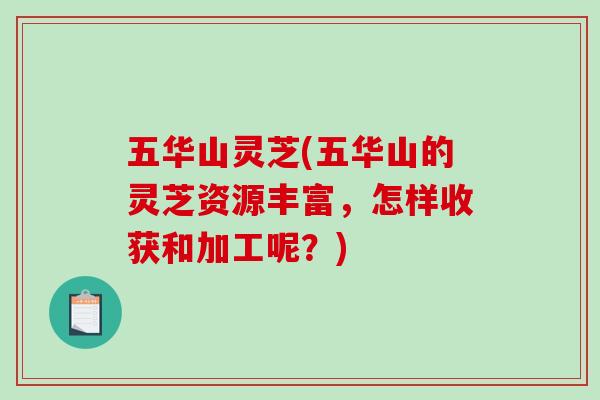 五华山灵芝(五华山的灵芝资源丰富，怎样收获和加工呢？)-第1张图片-破壁灵芝孢子粉研究指南