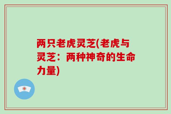 两只老虎灵芝(老虎与灵芝:两种神奇的生命力量)-第1张图片-破壁灵芝孢子粉研究指南 两只老虎灵芝(老虎与灵芝:两种神奇的生命力量)-第1张图片-破壁灵芝孢子粉研究指南