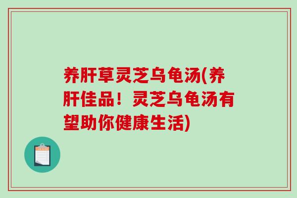 养肝草灵芝乌龟汤(养肝佳品!灵芝乌龟汤有望助你健康生活)-第1张图片-破壁灵芝孢子粉研究指南 养肝草灵芝乌龟汤(养肝佳品!灵芝乌龟汤有望助你健康生活)-第1张图片-破壁灵芝孢子粉研究指南