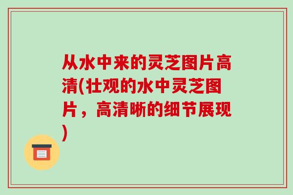 从水中来的灵芝图片高清(壮观的水中灵芝图片,高清晰的细节展现)-第1张图片-破壁灵芝孢子粉研究指南 从水中来的灵芝图片高清(壮观的水中灵芝图片,高清晰的细节展现)-第1张图片-破壁灵芝孢子粉研究指南