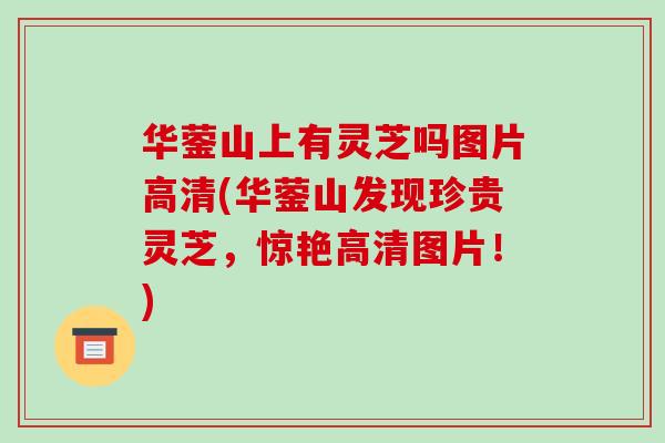华蓥山上有灵芝吗图片高清(华蓥山发现珍贵灵芝,惊艳高清图片!)-第1张图片-破壁灵芝孢子粉研究指南 华蓥山上有灵芝吗图片高清(华蓥山发现珍贵灵芝,惊艳高清图片!)-第1张图片-破壁灵芝孢子粉研究指南
