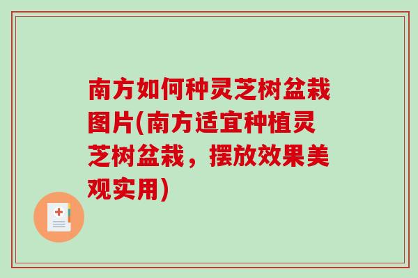 南方如何种灵芝树盆栽图片(南方适宜种植灵芝树盆栽,摆放效果美观实用)-第1张图片-破壁灵芝孢子粉研究指南 南方如何种灵芝树盆栽图片(南方适宜种植灵芝树盆栽,摆放效果美观实用)-第1张图片-破壁灵芝孢子粉研究指南