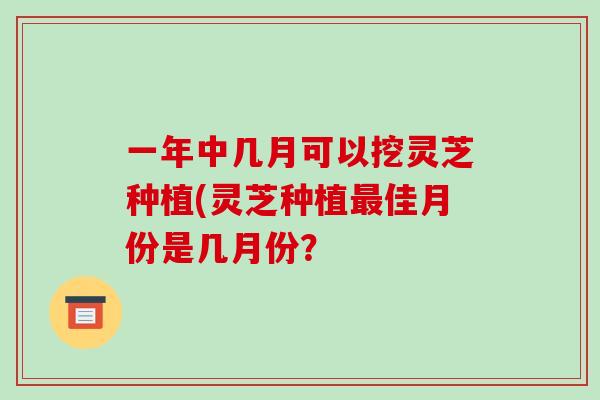 一年中几月可以挖灵芝种植(灵芝种植最佳月份是几月份？-第1张图片-破壁灵芝孢子粉研究指南