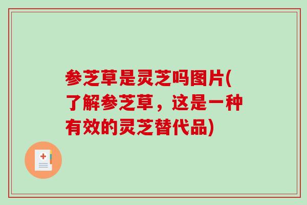 参芝草是灵芝吗图片(了解参芝草，这是一种有效的灵芝替代品)-第1张图片-破壁灵芝孢子粉研究指南
