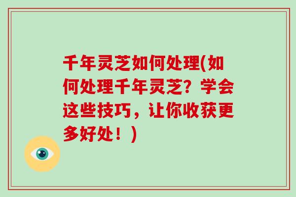 千年灵芝如何处理(如何处理千年灵芝?学会这些技巧,让你收获更多好处!)-第1张图片-破壁灵芝孢子粉研究指南 千年灵芝如何处理(如何处理千年灵芝?学会这些技巧,让你收获更多好处!)-第1张图片-破壁灵芝孢子粉研究指南