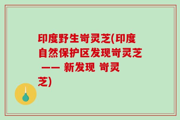 印度野生岢灵芝(印度自然保护区发现岢灵芝 —— 新发现 岢灵芝)-第1张图片-破壁灵芝孢子粉研究指南 印度野生岢灵芝(印度自然保护区发现岢灵芝 —— 新发现 岢灵芝)-第1张图片-破壁灵芝孢子粉研究指南