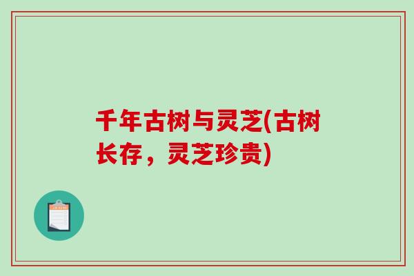 千年古树与灵芝(古树长存,灵芝珍贵)-第1张图片-破壁灵芝孢子粉研究指南 千年古树与灵芝(古树长存,灵芝珍贵)-第1张图片-破壁灵芝孢子粉研究指南