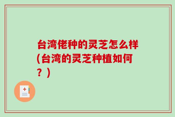台湾佬种的灵芝怎么样(台湾的灵芝种植如何?)-第1张图片-破壁灵芝孢子粉研究指南 台湾佬种的灵芝怎么样(台湾的灵芝种植如何?)-第1张图片-破壁灵芝孢子粉研究指南