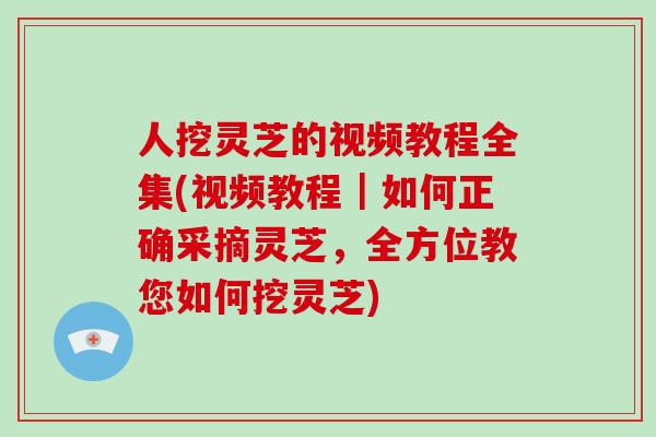 人挖灵芝的视频教程全集(视频教程|如何正确采摘灵芝,全方位教您如何挖灵芝)-第1张图片-破壁灵芝孢子粉研究指南 人挖灵芝的视频教程全集(视频教程|如何正确采摘灵芝,全方位教您如何挖灵芝)-第1张图片-破壁灵芝孢子粉研究指南