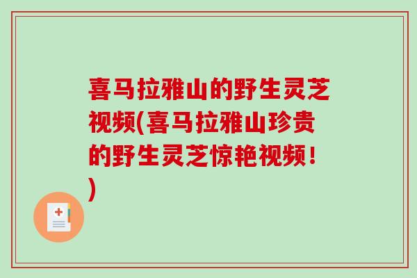 喜马拉雅山的野生灵芝视频(喜马拉雅山珍贵的野生灵芝惊艳视频!)-第1张图片-破壁灵芝孢子粉研究指南 喜马拉雅山的野生灵芝视频(喜马拉雅山珍贵的野生灵芝惊艳视频!)-第1张图片-破壁灵芝孢子粉研究指南