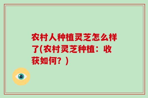 农村人种植灵芝怎么样了(农村灵芝种植:收获如何?)-第1张图片-破壁灵芝孢子粉研究指南 农村人种植灵芝怎么样了(农村灵芝种植:收获如何?)-第1张图片-破壁灵芝孢子粉研究指南
