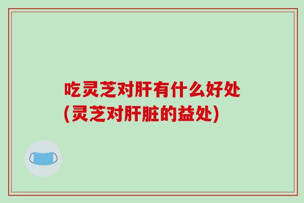 吃灵芝对肝有什么好处(灵芝对肝脏的益处)-第1张图片-破壁灵芝孢子粉研究指南 吃灵芝对肝有什么好处(灵芝对肝脏的益处)-第1张图片-破壁灵芝孢子粉研究指南