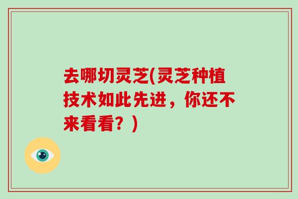 去哪切灵芝(灵芝种植技术如此先进,你还不来看看?)-第1张图片-破壁灵芝孢子粉研究指南 去哪切灵芝(灵芝种植技术如此先进,你还不来看看?)-第1张图片-破壁灵芝孢子粉研究指南