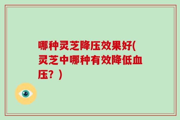 哪种灵芝降压效果好(灵芝中哪种有效降低血压?)-第1张图片-破壁灵芝孢子粉研究指南 哪种灵芝降压效果好(灵芝中哪种有效降低血压?)-第1张图片-破壁灵芝孢子粉研究指南