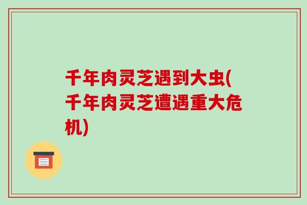 千年肉灵芝遇到大虫(千年肉灵芝遭遇重大危机)-第1张图片-破壁灵芝孢子粉研究指南 千年肉灵芝遇到大虫(千年肉灵芝遭遇重大危机)-第1张图片-破壁灵芝孢子粉研究指南
