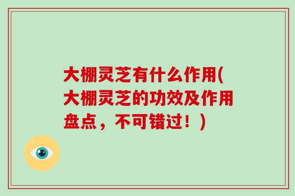 大棚灵芝有什么作用(大棚灵芝的功效及作用盘点,不可错过!)-第1张图片-破壁灵芝孢子粉研究指南 大棚灵芝有什么作用(大棚灵芝的功效及作用盘点,不可错过!)-第1张图片-破壁灵芝孢子粉研究指南