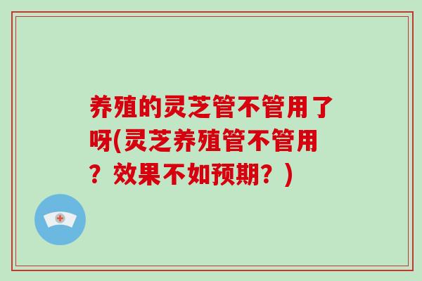 养殖的灵芝管不管用了呀(灵芝养殖管不管用?效果不如预期?)-第1张图片-破壁灵芝孢子粉研究指南 养殖的灵芝管不管用了呀(灵芝养殖管不管用?效果不如预期?)-第1张图片-破壁灵芝孢子粉研究指南