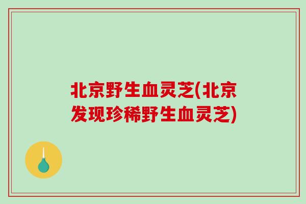 北京野生血灵芝(北京发现珍稀野生血灵芝)-第1张图片-破壁灵芝孢子粉研究指南