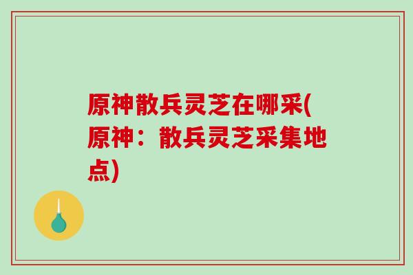 原神散兵灵芝在哪采(原神:散兵灵芝采集地点)-第1张图片-破壁灵芝孢子粉研究指南 原神散兵灵芝在哪采(原神:散兵灵芝采集地点)-第1张图片-破壁灵芝孢子粉研究指南