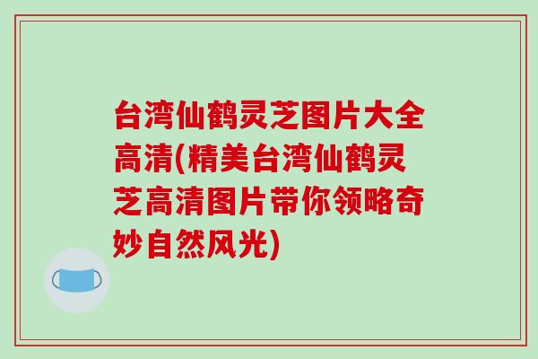 台湾仙鹤灵芝图片大全高清(精美台湾仙鹤灵芝高清图片带你领略奇妙自然风光)-第1张图片-破壁灵芝孢子粉研究指南 台湾仙鹤灵芝图片大全高清(精美台湾仙鹤灵芝高清图片带你领略奇妙自然风光)-第1张图片-破壁灵芝孢子粉研究指南