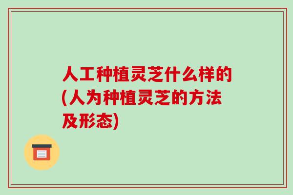 人工种植灵芝什么样的(人为种植灵芝的方法及形态)-第1张图片-破壁灵芝孢子粉研究指南 人工种植灵芝什么样的(人为种植灵芝的方法及形态)-第1张图片-破壁灵芝孢子粉研究指南