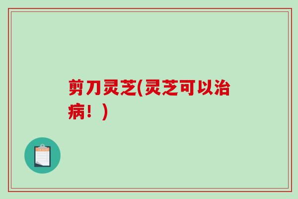 剪刀灵芝(灵芝可以治病！)-第1张图片-破壁灵芝孢子粉研究指南