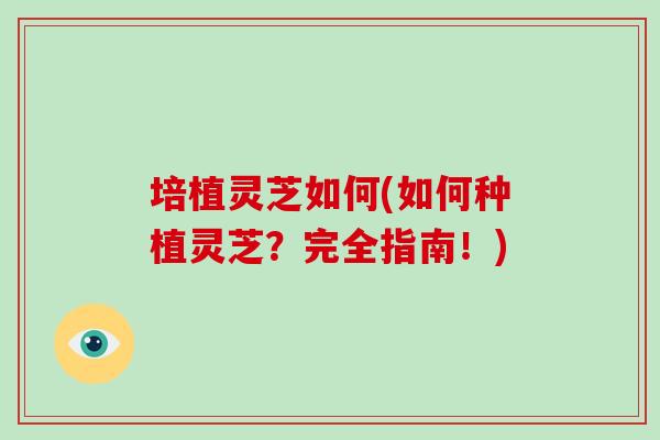 培植灵芝如何(如何种植灵芝?完全指南!)-第1张图片-破壁灵芝孢子粉研究指南 培植灵芝如何(如何种植灵芝?完全指南!)-第1张图片-破壁灵芝孢子粉研究指南
