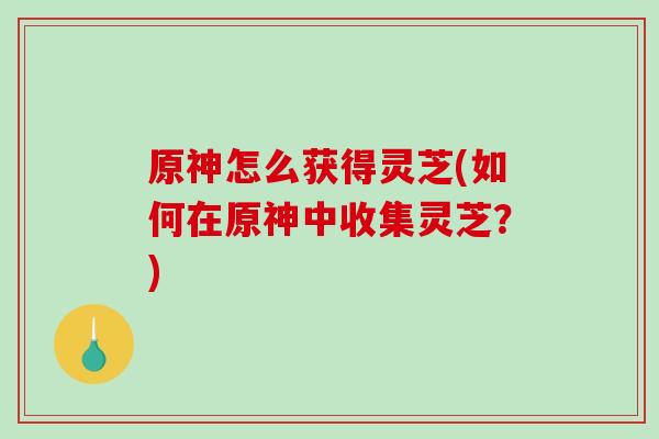 原神怎么获得灵芝(如何在原神中收集灵芝?)-第1张图片-破壁灵芝孢子粉研究指南 原神怎么获得灵芝(如何在原神中收集灵芝?)-第1张图片-破壁灵芝孢子粉研究指南