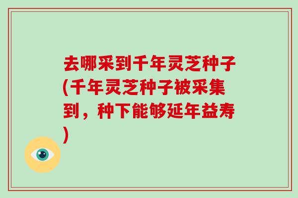 去哪采到千年灵芝种子(千年灵芝种子被采集到,种下能够延年益寿)-第1张图片-破壁灵芝孢子粉研究指南 去哪采到千年灵芝种子(千年灵芝种子被采集到,种下能够延年益寿)-第1张图片-破壁灵芝孢子粉研究指南