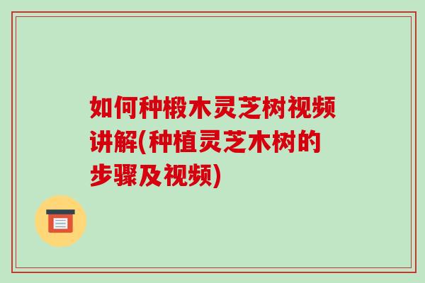 如何种椴木灵芝树视频讲解(种植灵芝木树的步骤及视频)-第1张图片-破壁灵芝孢子粉研究指南