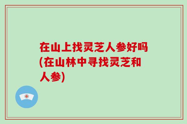 在山上找灵芝人参好吗(在山林中寻找灵芝和人参)-第1张图片-破壁灵芝孢子粉研究指南