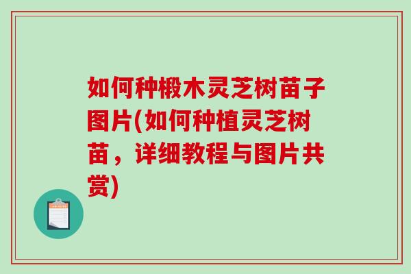 如何种椴木灵芝树苗子图片(如何种植灵芝树苗，详细教程与图片共赏)-第1张图片-破壁灵芝孢子粉研究指南