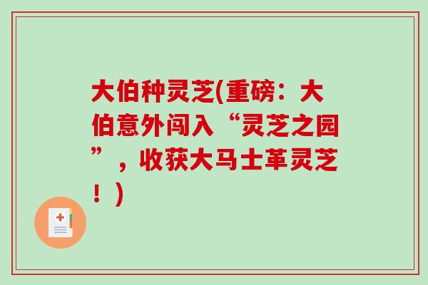 大伯种灵芝(重磅：大伯意外闯入“灵芝之园”，收获大马士革灵芝！)-第1张图片-破壁灵芝孢子粉研究指南