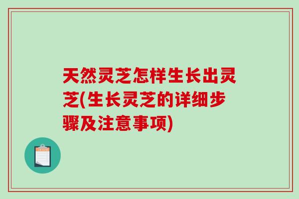 天然灵芝怎样生长出灵芝(生长灵芝的详细步骤及注意事项)-第1张图片-破壁灵芝孢子粉研究指南