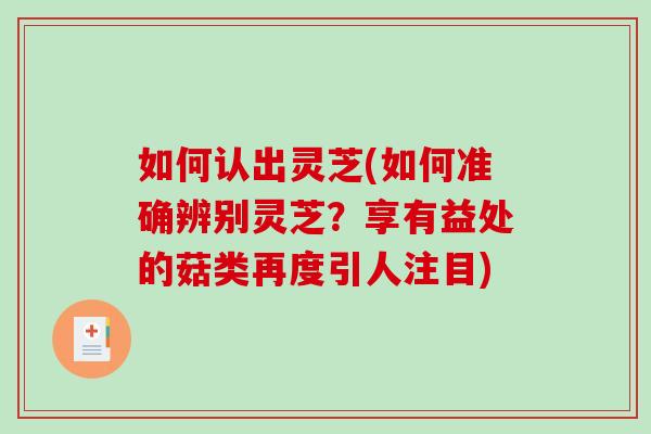 如何认出灵芝(如何准确辨别灵芝？享有益处的菇类再度引人注目)-第1张图片-破壁灵芝孢子粉研究指南