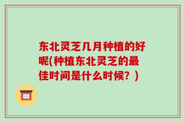 东北灵芝几月种植的好呢(种植东北灵芝的最佳时间是什么时候？)-第1张图片-破壁灵芝孢子粉研究指南
