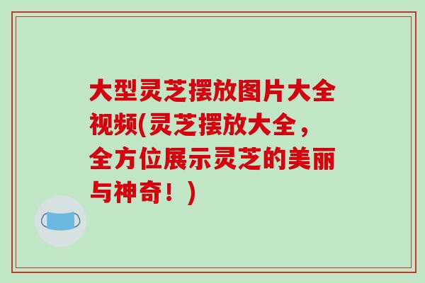 大型灵芝摆放图片大全视频(灵芝摆放大全，全方位展示灵芝的美丽与神奇！)-第1张图片-破壁灵芝孢子粉研究指南